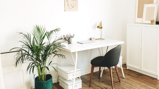 Green Up Your Corporate Gifting Game: The Power of Corporate Plant Gifts