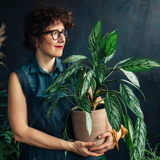 Cultivating Connection: The Power of Plant Gifts for Remote Employee Appreciation