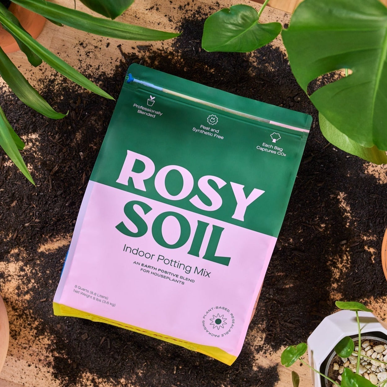 indoor potting soil