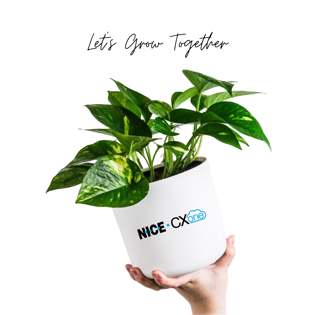 Corporate Gifting Package - Plant Swag Shop