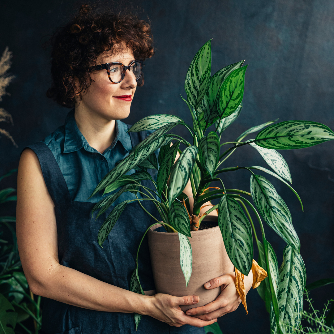 Cultivating Connection: The Power of Plant Gifts for Remote Employee Appreciation
