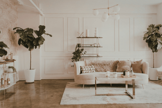 Blush and cream living room with layered plants, gold shelving and warm natural light