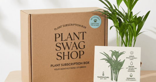 A kraft plant subscription box on a table beside a healthy palm and a printed plant care card