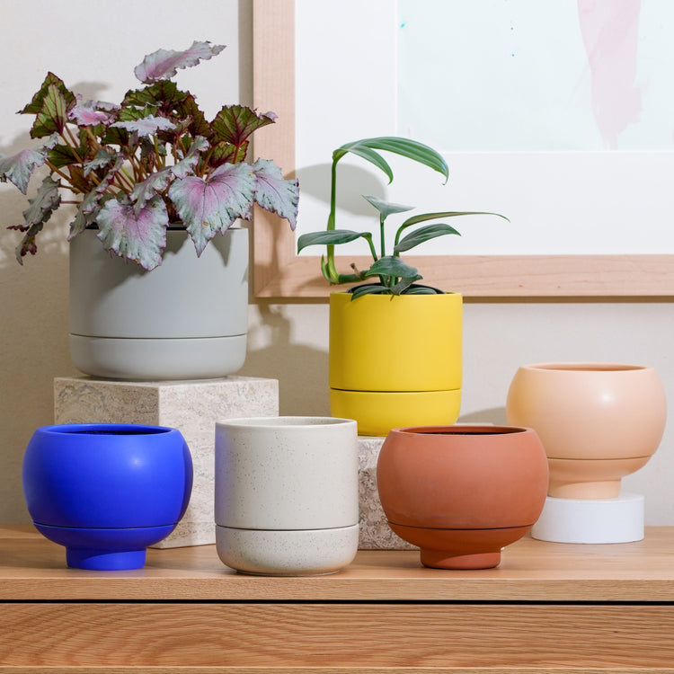 Plant Accessories