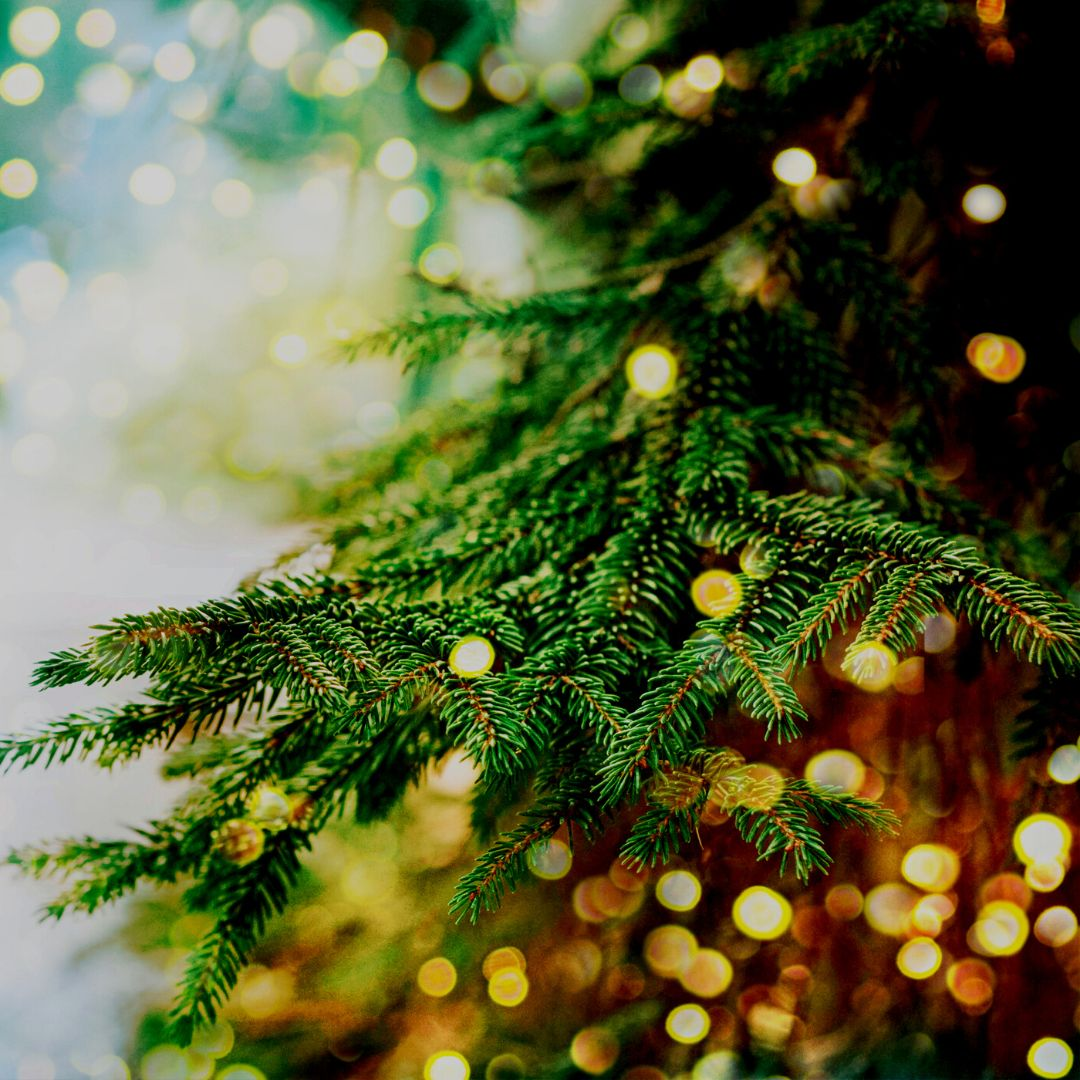 Holiday Collection