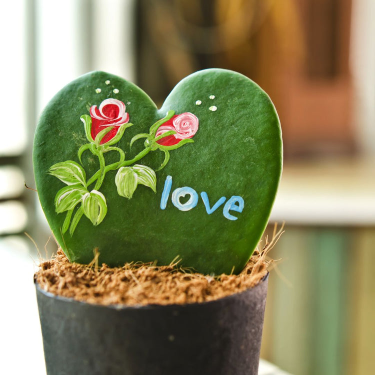 Mothers Day Collection