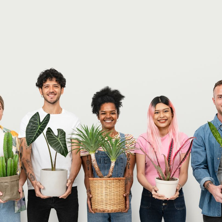 Plant Gifts