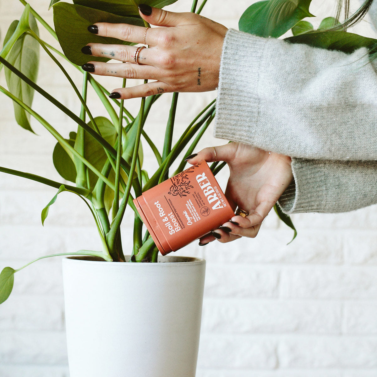 Organic Soil and Root Boost