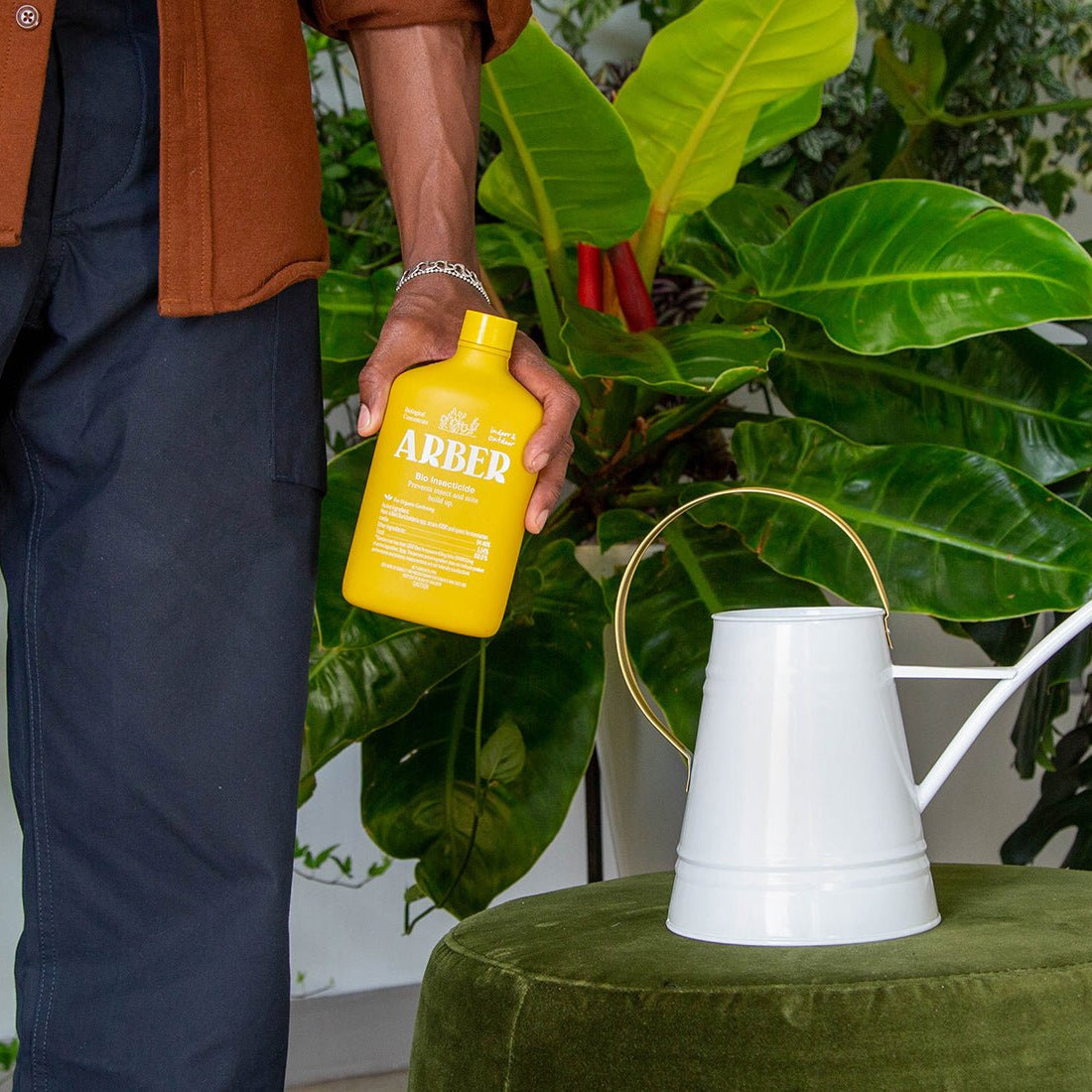 Bio Insecticide - Arber