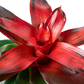  ?id=24330130981048