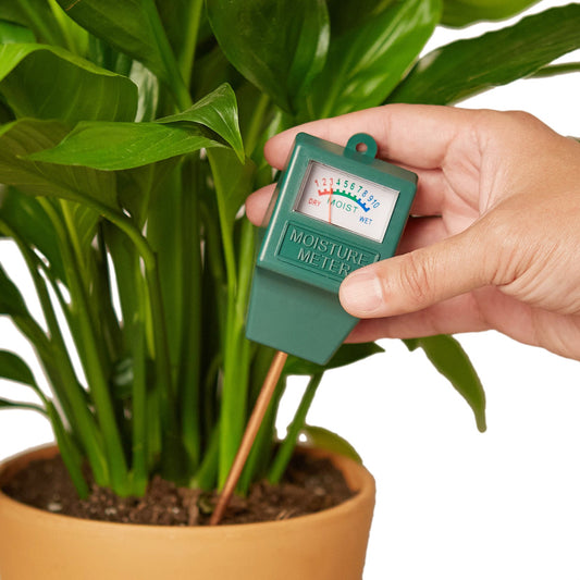house plant moisture meter