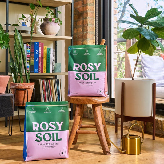 indoor potting soil